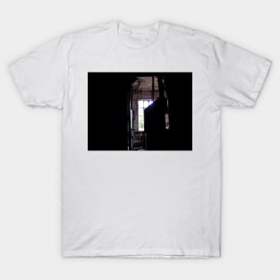 Swinging Door T-Shirt